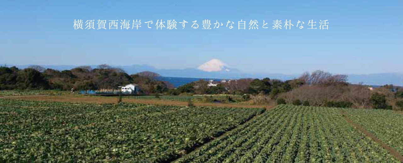 横須賀西海岸で体験する豊かな自然と素朴な生活